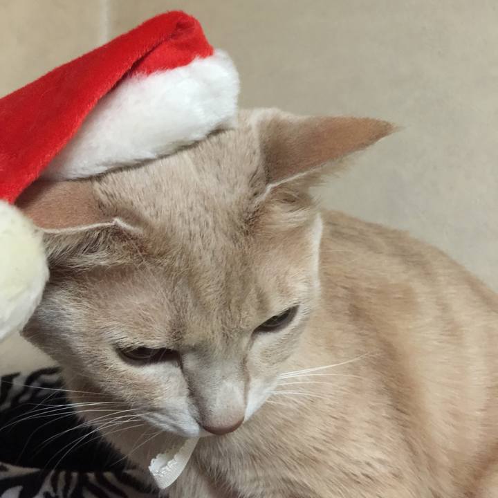 Dc05e284 0e37 43a1 9505 66603927e929