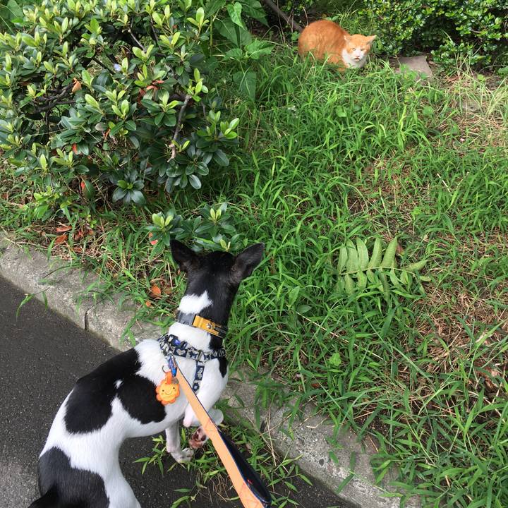 Dc073f82 3067 4a15 8398 eefe9e7f880f