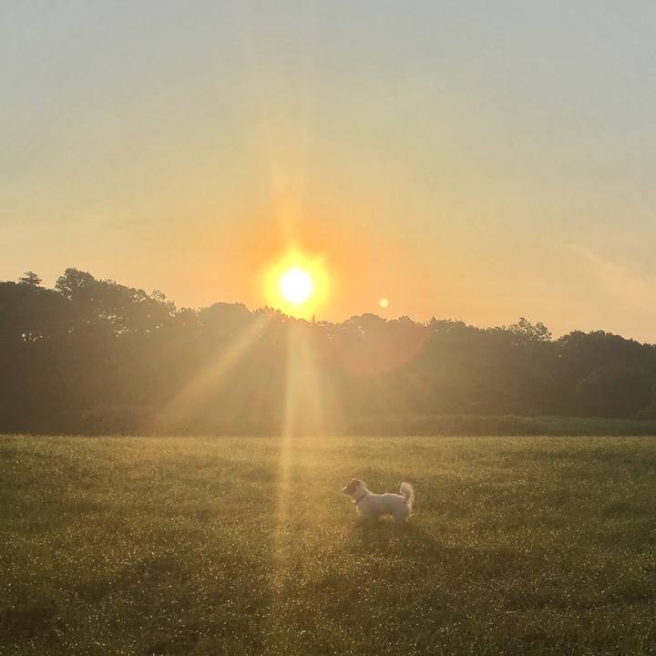 Dc07a8bf dd93 42b1 af26 11c5a5ac4a46