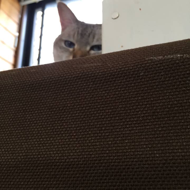 Dc083ebd bc78 4d23 a3fc 072835eedfb4