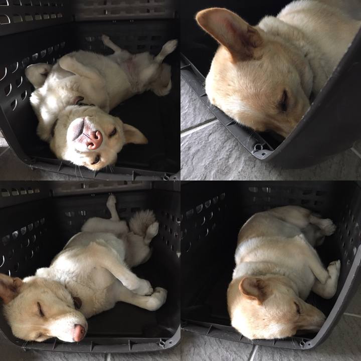 Dc088609 075d 4df9 bc3b 14e7445fec7d