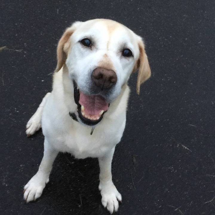 Dc09e382 7d7f 440c 969e 2d70811aecce