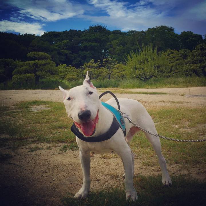 Dc0a84ce 3e0d 4dba 925f d1f23596676e