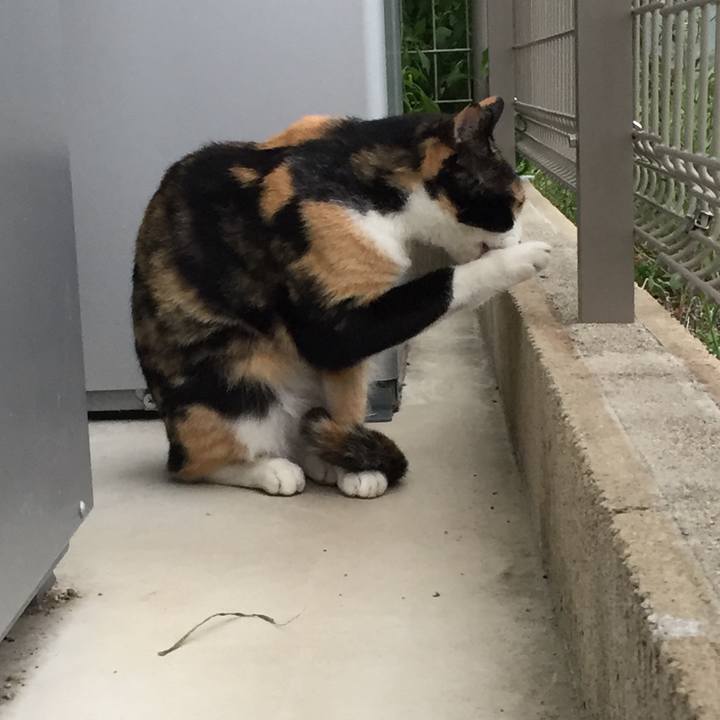 Dc0aad3d afac 4e70 9226 40ae2a265ef5