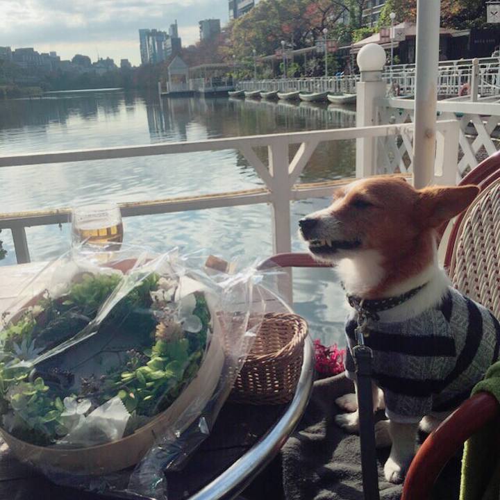 Dc0ac4a5 0c81 4ad3 9508 706d45e126a9