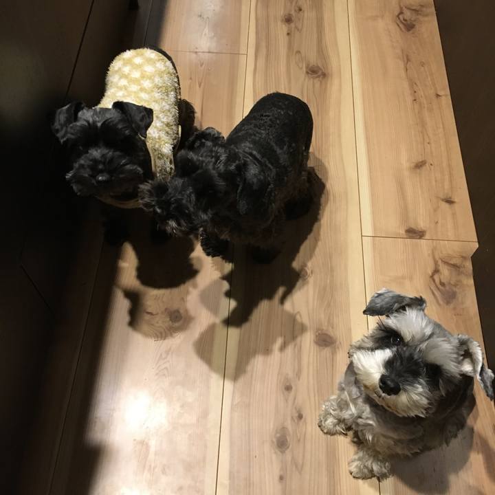 Dc0b1d5d 12fa 4a5a 95dd 8fedaa975890