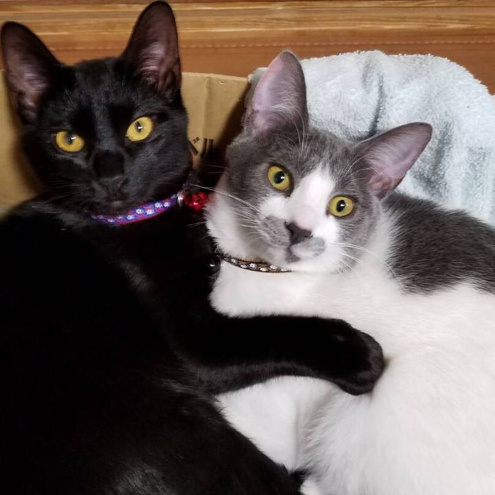 Dc0b276e 5838 4010 abe8 a84e8c2c7113