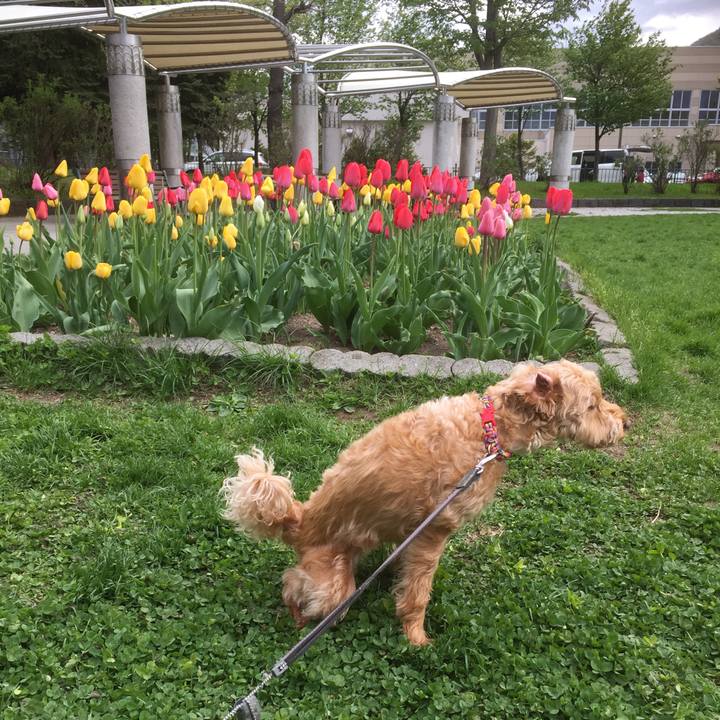 Dc0b55f2 c986 4cae 9859 db35cd253c79