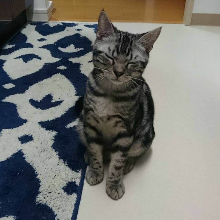 Dc0c2caa 1b7f 4ca7 8650 0d8b5916ccaa