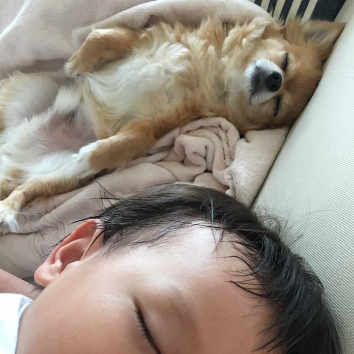 Dc0c52fe 5c75 44de 9e75 0216bfffe300