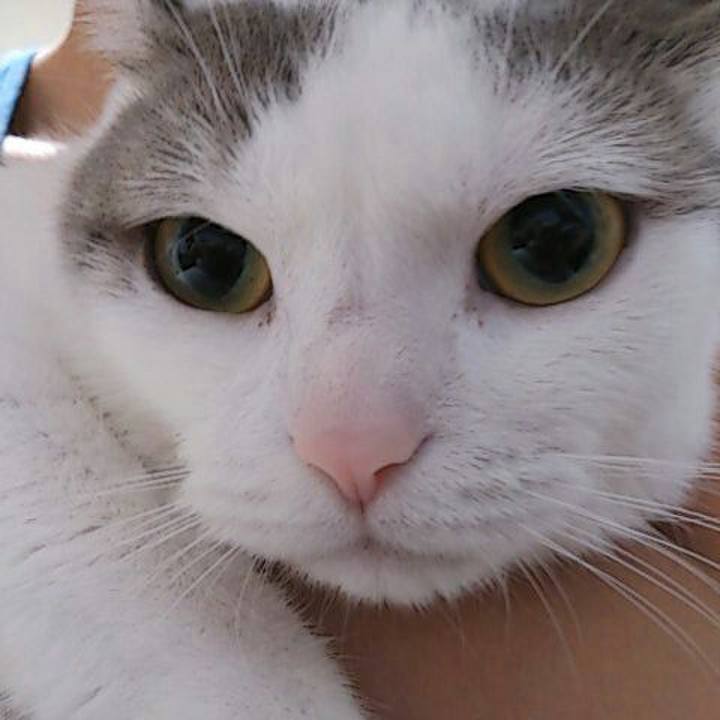 Dc0c7ad1 c66d 4657 8f62 e6a7e0bb62e5