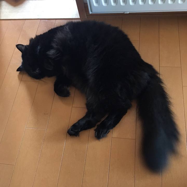 Dc0d81f2 f9c9 4b8d 8713 9d544c2a5ebd