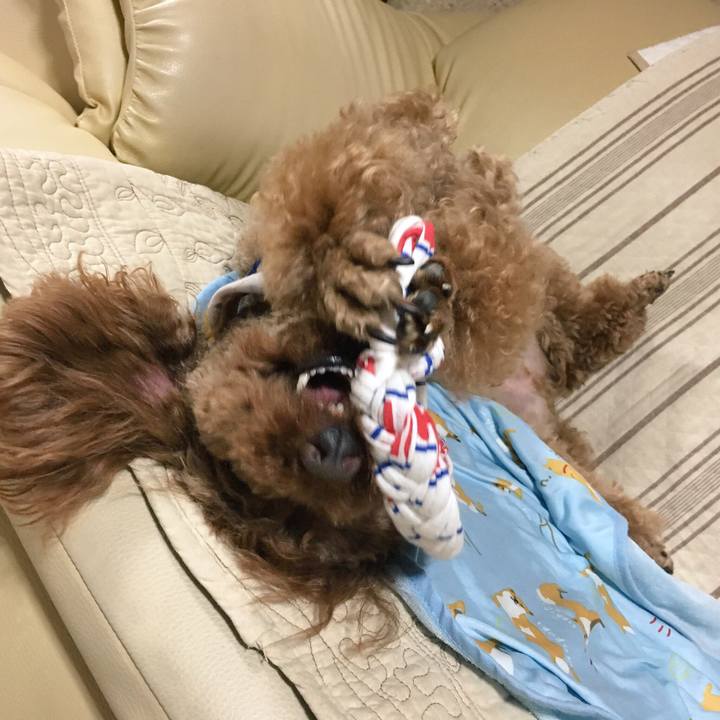 Dc0ddd10 f539 430a a18c 3de3503004e7