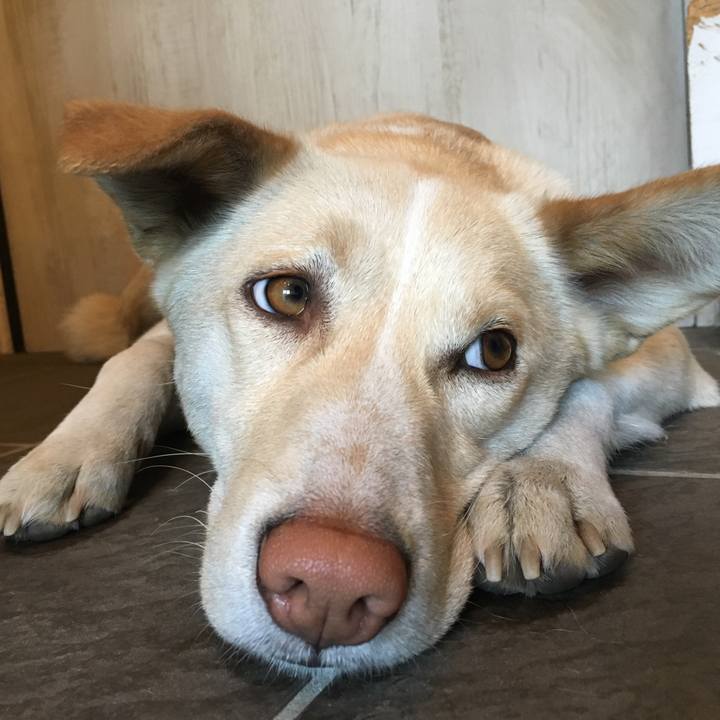 Dc100d0f a182 4bf0 af86 7e5aa863b475