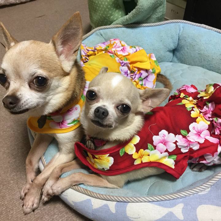 Dc104ce9 fa30 47fc 81e3 ab203777aa26