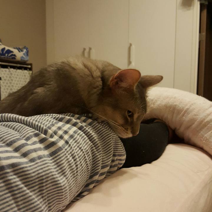 Dc105774 4ea6 4620 b15f 0e68f975b758