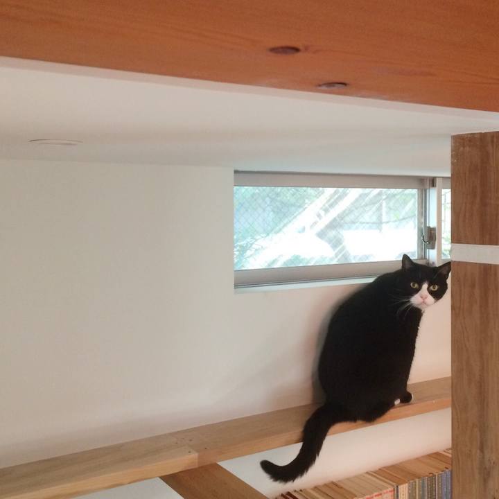 Dc107b4e 967b 4ad1 a564 653e8c637ad1