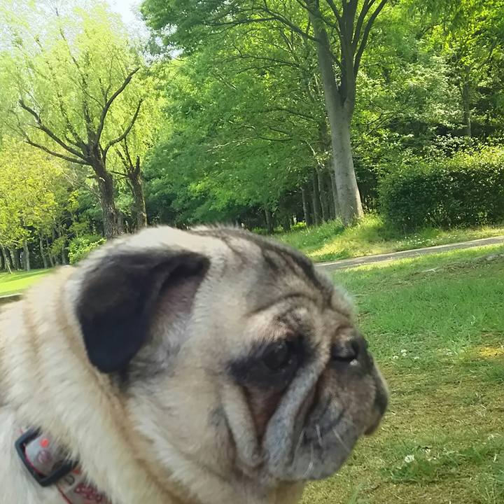 Dc10a2ee ca60 4674 9f55 4a7561d555e6