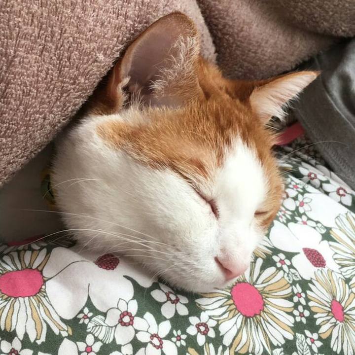 Dc110c84 54f2 4400 b664 6a73598b8986