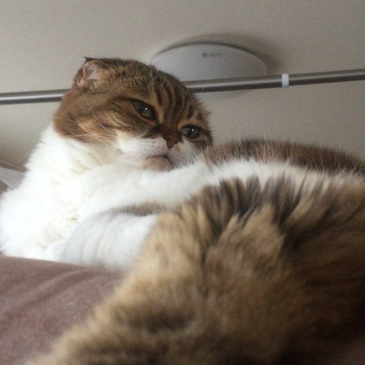 Dc136105 28b6 4380 99e7 54570c082efa