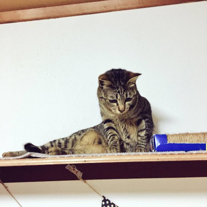 Dc136585 5d05 448a 8f8d ab3f7a039d0f