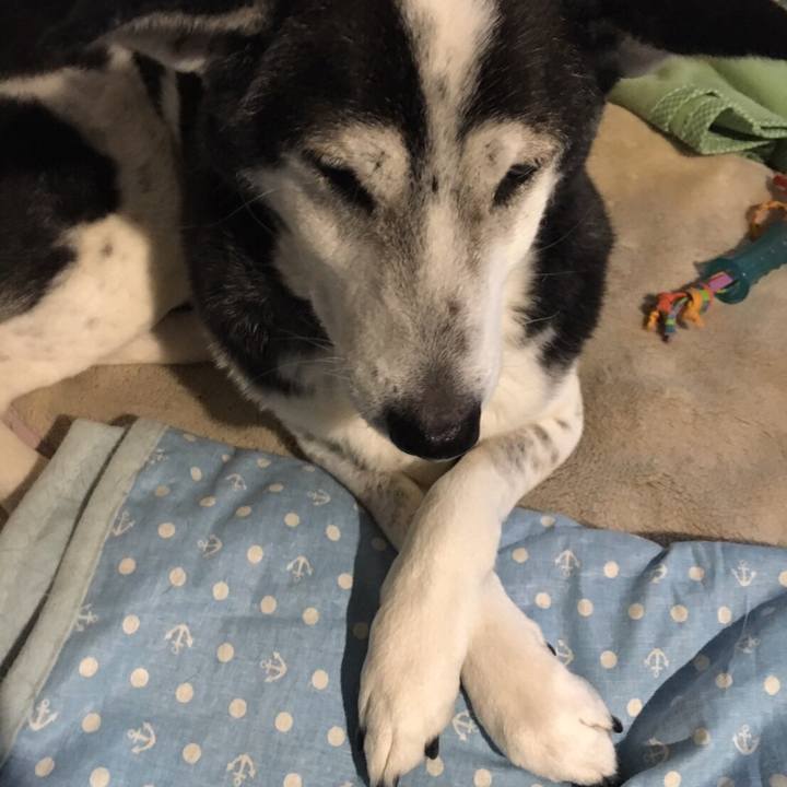 Dc13a712 0df3 4ef0 84bf 661fb40cccab