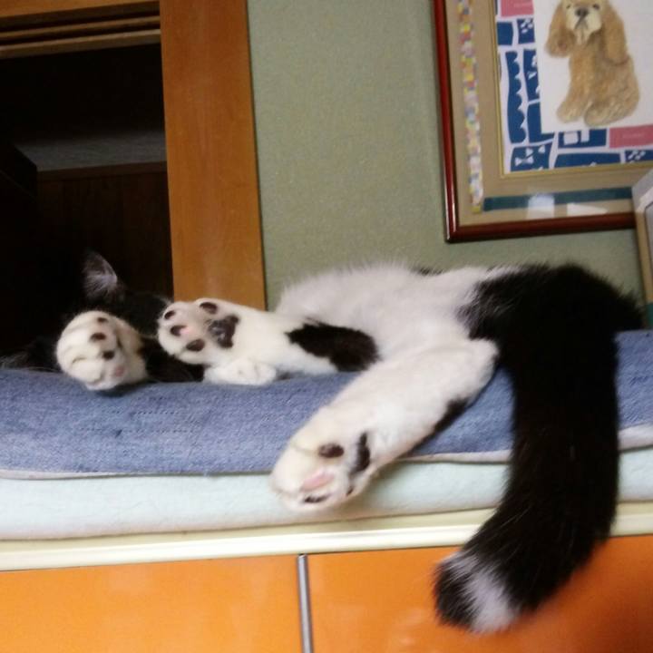 Dc14442b 2bbe 491c a012 2cd6d35160f2