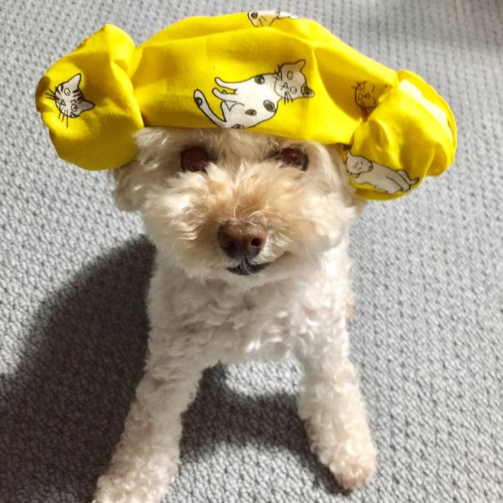 Dc1457a2 122f 4bb5 8610 a75054722615