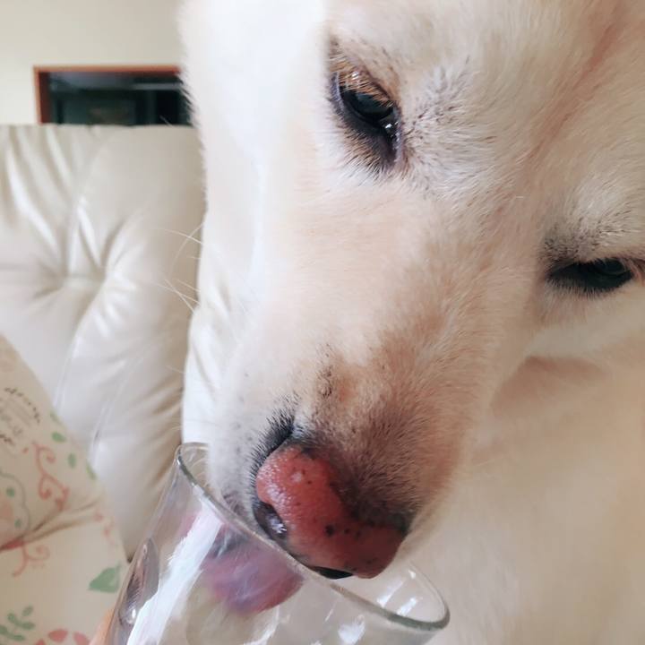 Dc159f55 0eb2 4bd9 b7f9 5ac55c9c2700