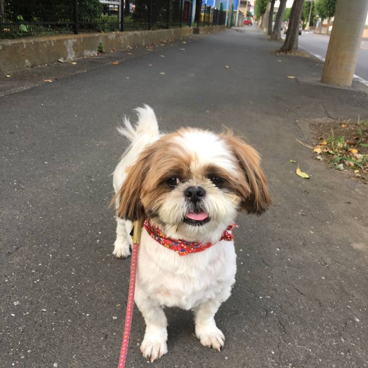 Dc167c5a 0083 4b7e 9ee1 2c6bd8e34484