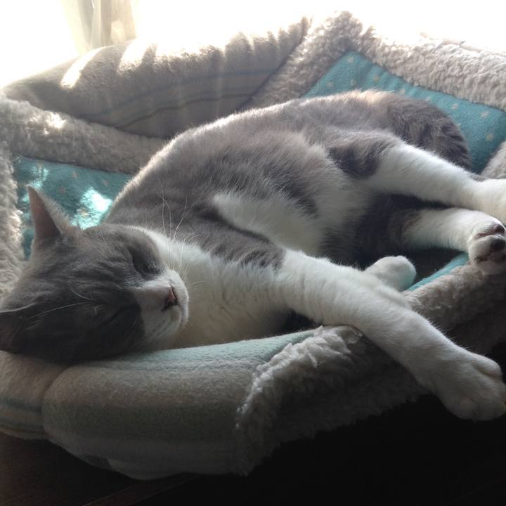 Dc1708b1 a179 4784 b4ba a108886ccaf9