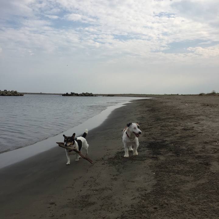 Dc172147 271d 49d7 b48b 161b7c8ec4a4