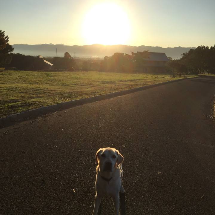 Dc17baf8 a38c 4d54 ac30 1451772b5be8