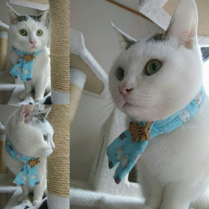 Dc1847ec c0a4 42fd 8534 d72918a5b7c1