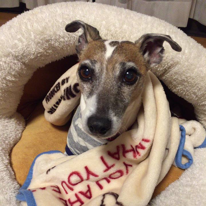 Dc184ab5 a778 4c10 8104 b4efef08ab12