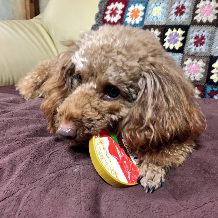 Dc1914f4 3021 4681 ac0f 8d1b0215076f