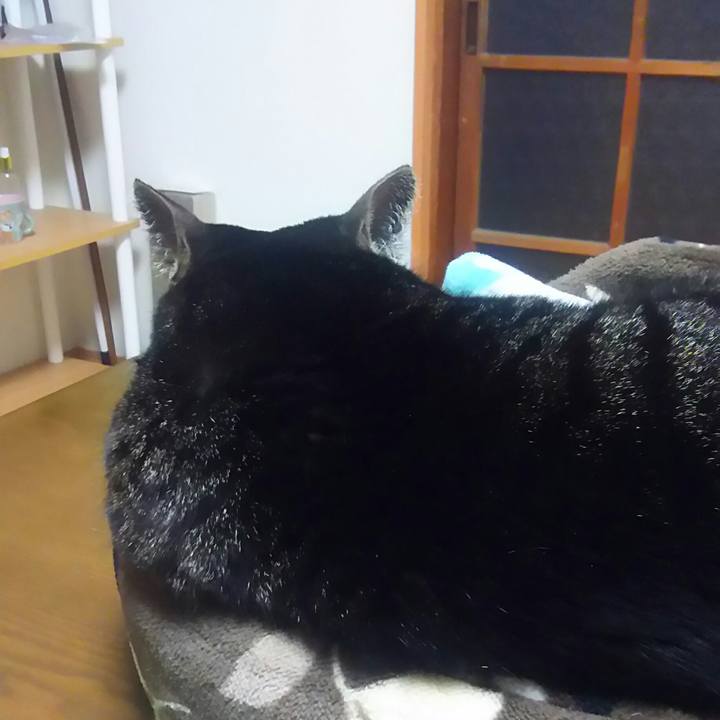 Dc19f38b 696b 41a4 869c 3bd2bf8a4830