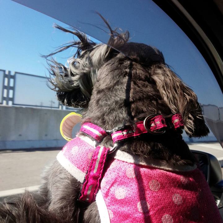 Dc1a1381 9f12 4c8e b0bf 4e93763f4e13