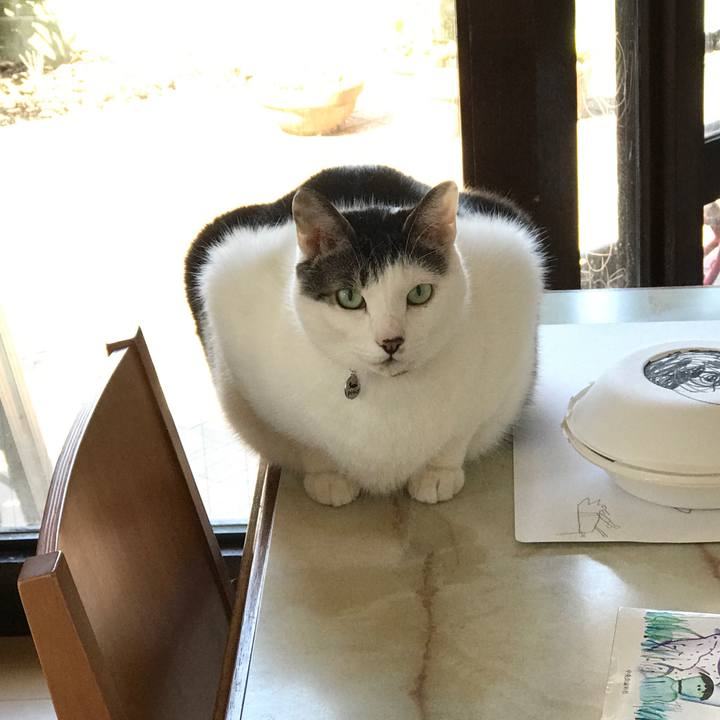 Dc1a60c9 376f 4b04 99a0 5147ef6b1704