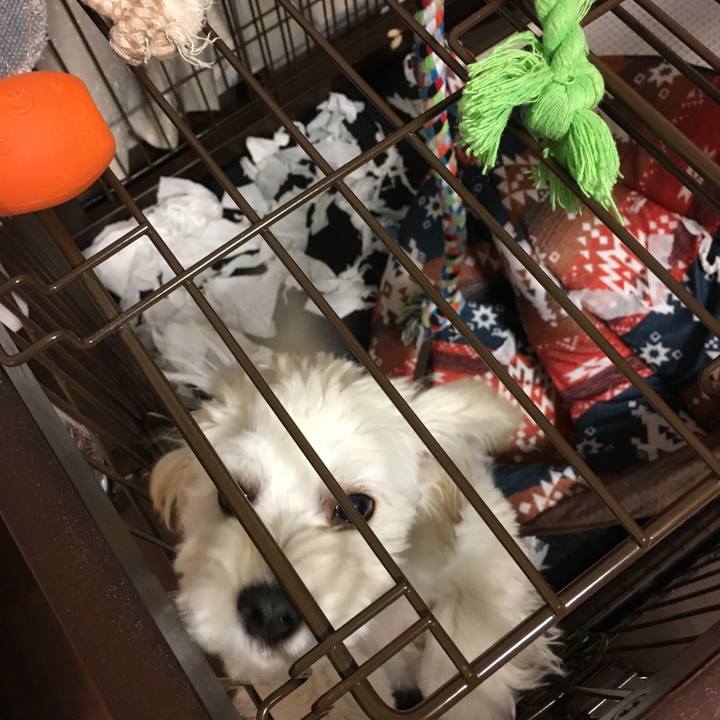 Dc1a6aa4 7e26 4203 ae82 24b082e5b46f