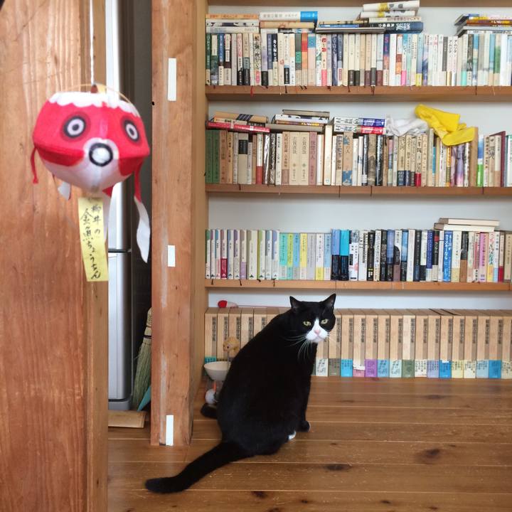 Dc1aaa72 ee7c 4351 9755 161d2c4184c5