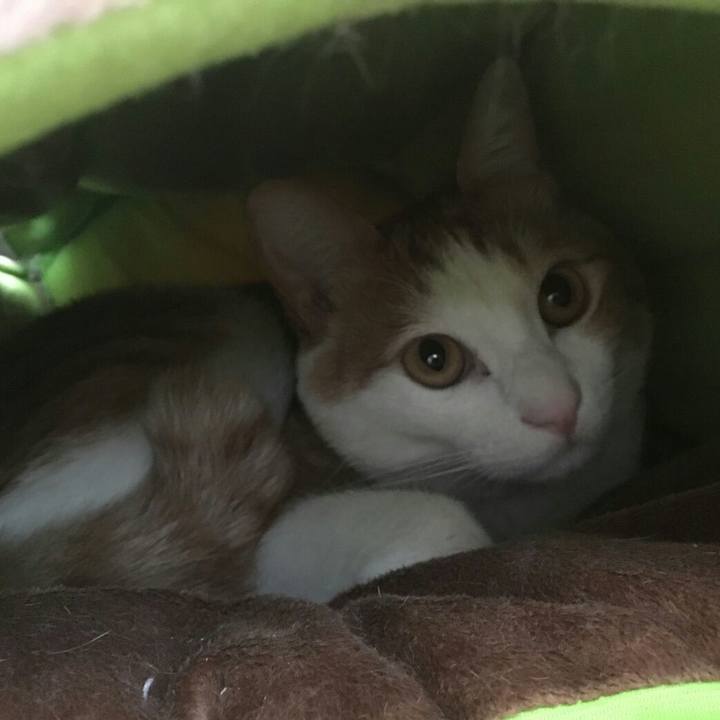 Dc1af91e 06bc 4af2 b698 958b3309bb6a