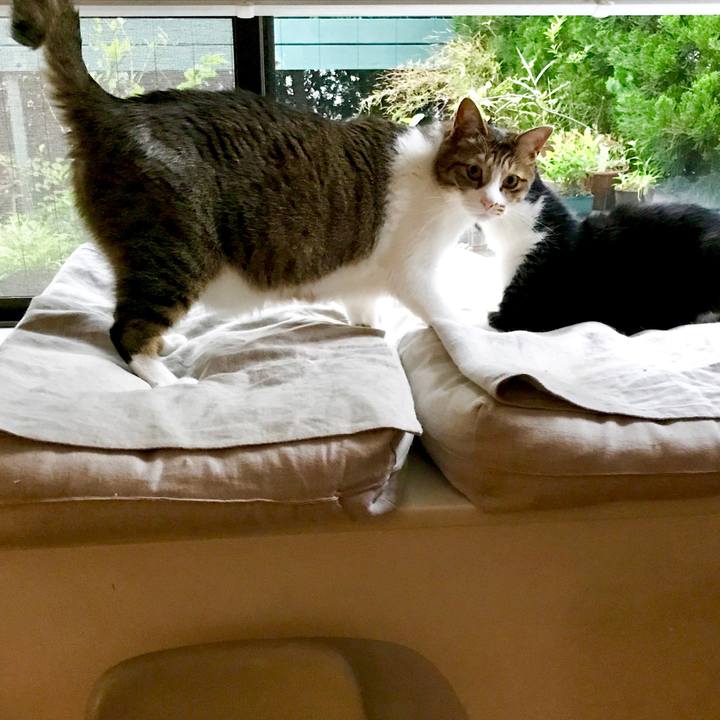 Dc1b21b2 89ea 4d21 8754 e67f275a3e2e