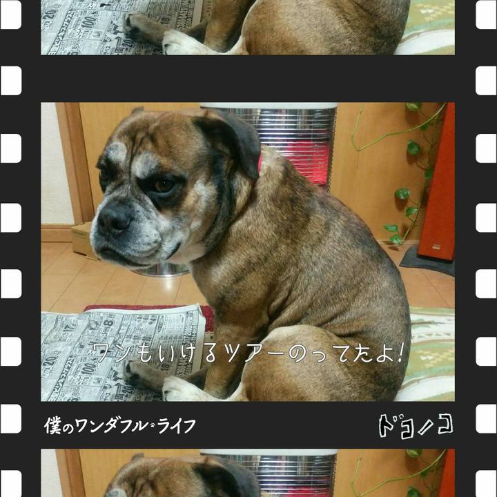 Dc1ba056 0fee 49fc 9fcd 1f6a2902068d