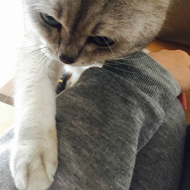 Dc1c37c1 04b0 4302 83dc 2421ef1a6c8c