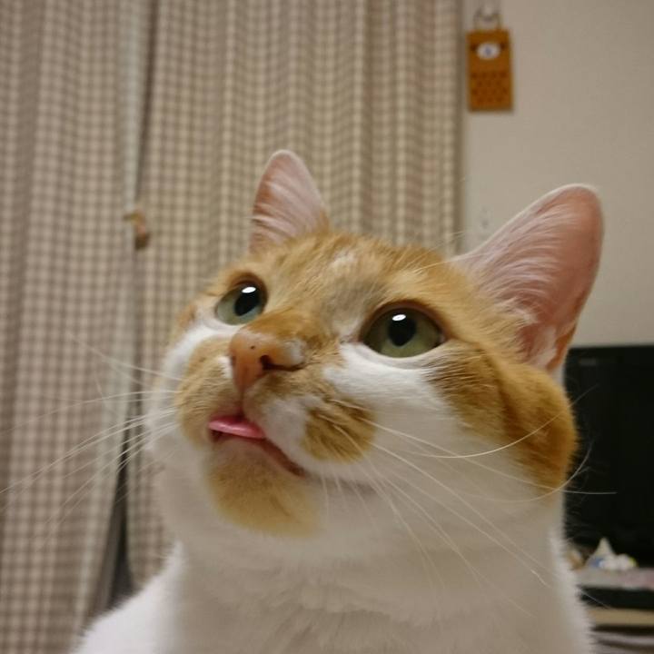 Dc1c50b0 009b 46b6 879a 4246e6e593a7