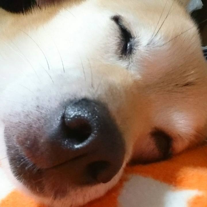 Dc1c5bf9 7bdf 4696 872e 82a04870d45f