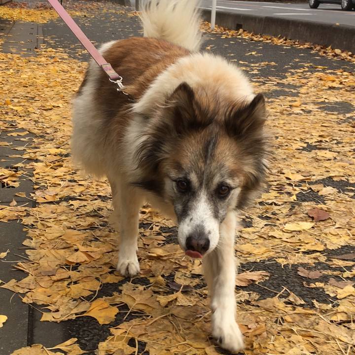 Dc1ccb1a 3a41 4bfc 80bc 0dd0ed154abc