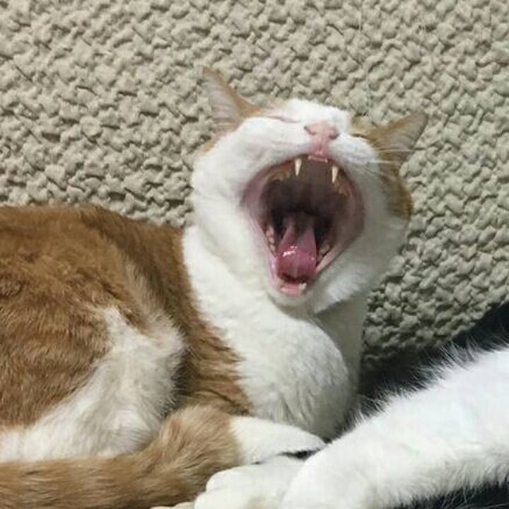 Dc1db839 891f 4a86 bea7 74546fc9fe0e