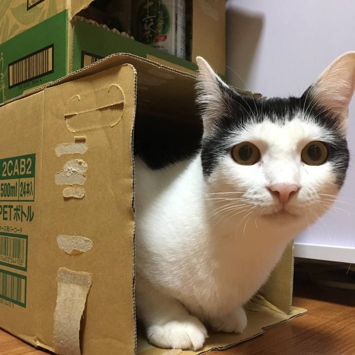 Dc1df2fe d4f5 4389 a4aa 08b41c3d1b6b